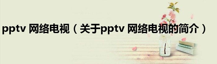 pptv 网络电视（关于pptv 网络电视的简介）