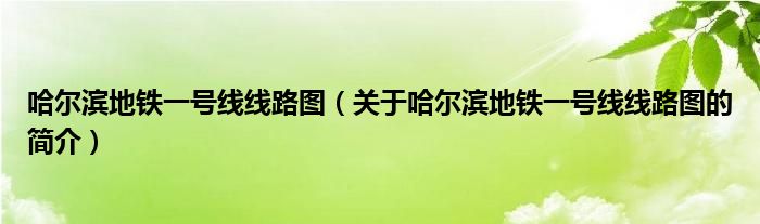 哈尔滨地铁一号线线路图（关于哈尔滨地铁一号线线路图的简介）