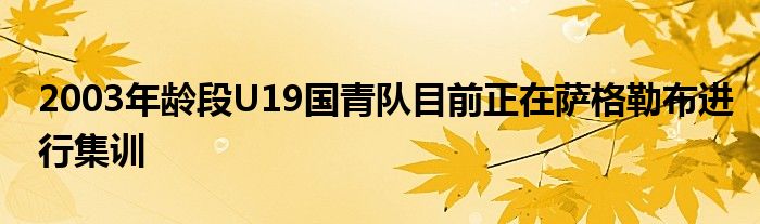 2003年龄段U19国青队目前正在萨格勒布进行集训