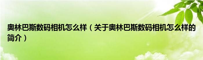 奥林巴斯数码相机怎么样（关于奥林巴斯数码相机怎么样的简介）