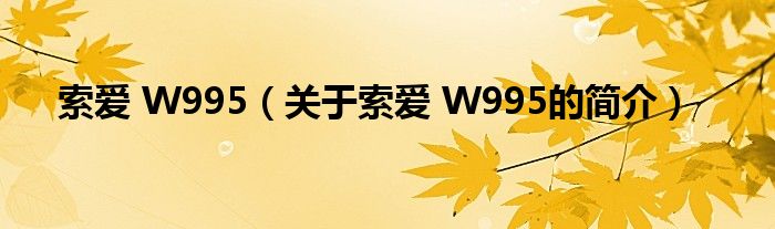 索爱 W995（关于索爱 W995的简介）