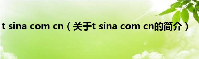 t sina com cn（关于t sina com cn的简介）