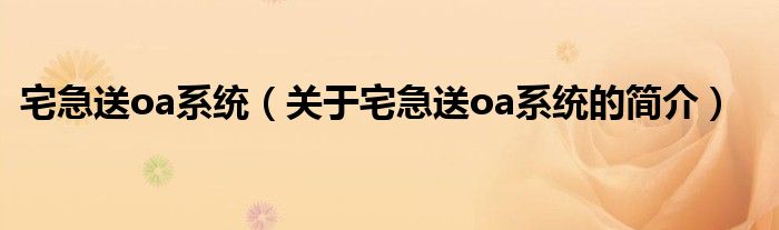 宅急送oa系统（关于宅急送oa系统的简介）