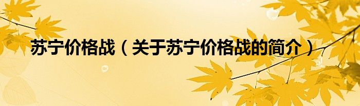 苏宁价格战（关于苏宁价格战的简介）