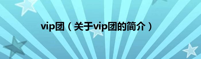 vip团（关于vip团的简介）