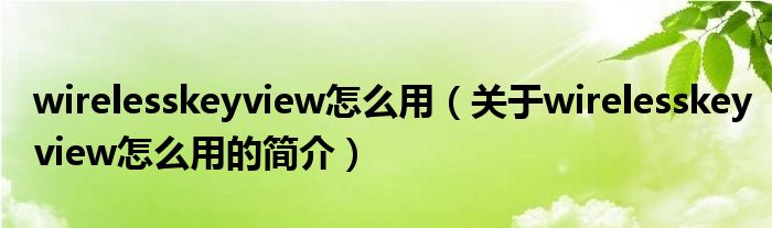 wirelesskeyview怎么用（关于wirelesskeyview怎么用的简介）