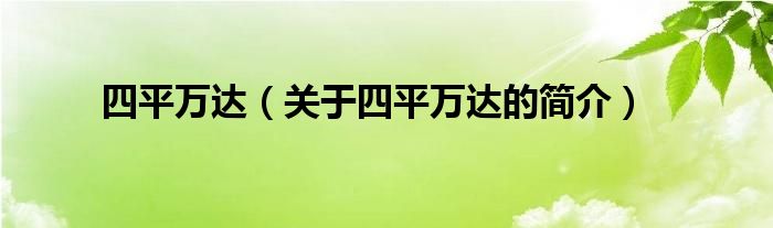 四平万达（关于四平万达的简介）