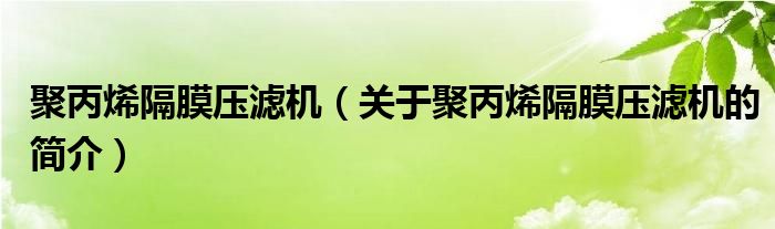 聚丙烯隔膜压滤机（关于聚丙烯隔膜压滤机的简介）