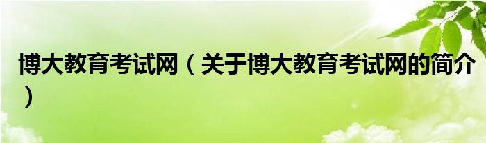 博大教育考试网（关于博大教育考试网的简介）