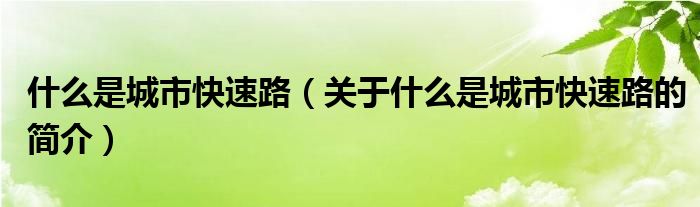 什么是城市快速路（关于什么是城市快速路的简介）