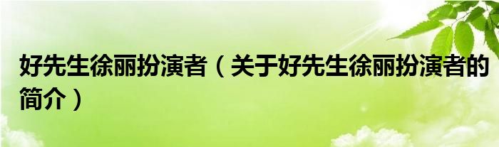 好先生徐丽扮演者（关于好先生徐丽扮演者的简介）