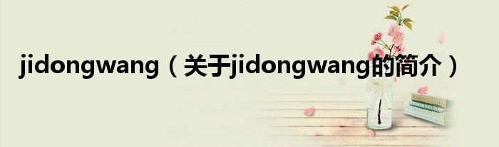 jidongwang（关于jidongwang的简介）