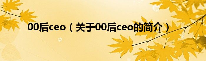 00后ceo（关于00后ceo的简介）