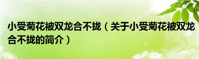 小受菊花被双龙合不拢（关于小受菊花被双龙合不拢的简介）