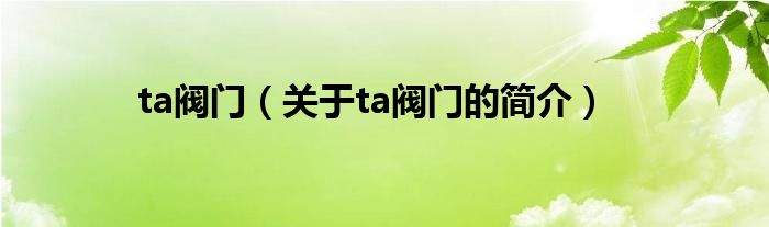 ta阀门（关于ta阀门的简介）