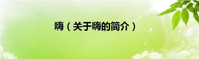 嗨（关于嗨的简介）