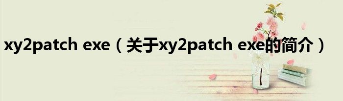 xy2patch exe（关于xy2patch exe的简介）