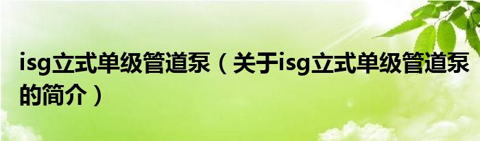 isg立式单级管道泵（关于isg立式单级管道泵的简介）