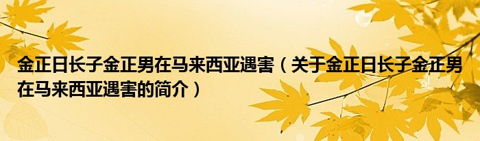 金正日长子金正男在马来西亚遇害（关于金正日长子金正男在马来西亚遇害的简介）