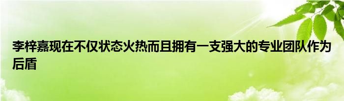 李梓嘉现在不仅状态火热而且拥有一支强大的专业团队作为后盾