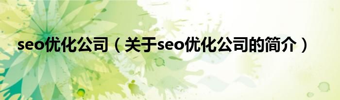 seo优化公司（关于seo优化公司的简介）