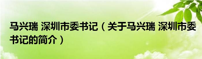 马兴瑞 深圳市委书记（关于马兴瑞 深圳市委书记的简介）