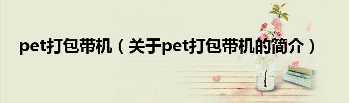 pet打包带机（关于pet打包带机的简介）