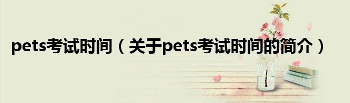 pets考试时间（关于pets考试时间的简介）