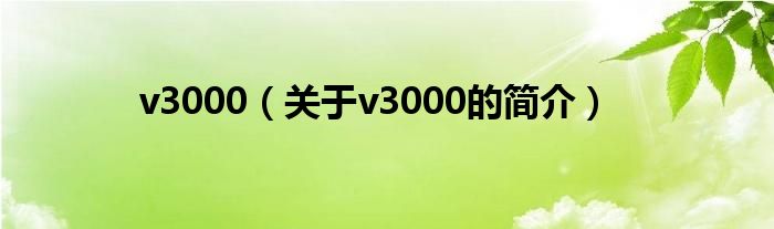 v3000（关于v3000的简介）