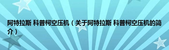 阿特拉斯 科普柯空压机（关于阿特拉斯 科普柯空压机的简介）