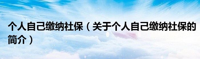 个人自己缴纳社保（关于个人自己缴纳社保的简介）