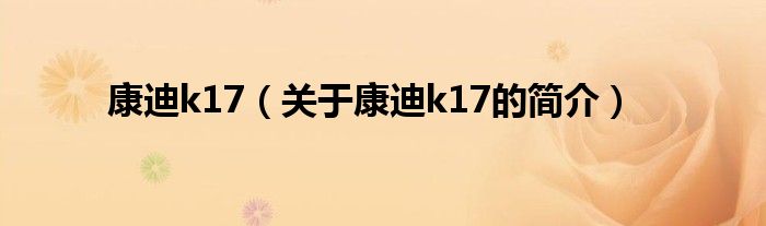 康迪k17（关于康迪k17的简介）