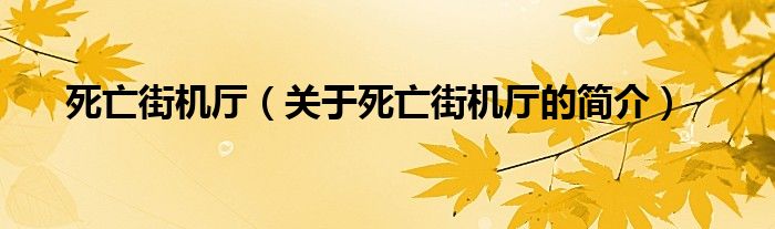 死亡街机厅（关于死亡街机厅的简介）