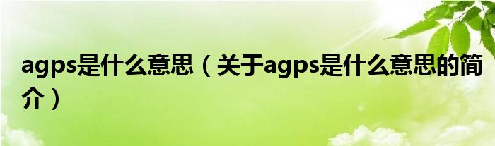 agps是什么意思（关于agps是什么意思的简介）