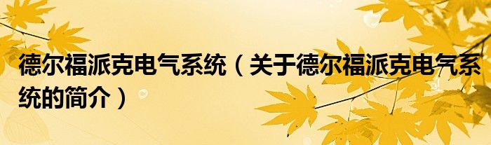 德尔福派克电气系统（关于德尔福派克电气系统的简介）