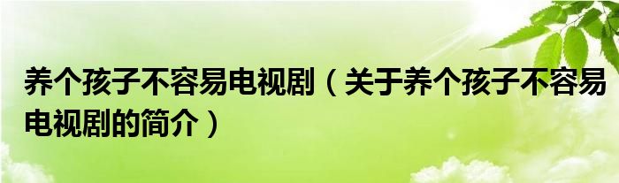 养个孩子不容易电视剧（关于养个孩子不容易电视剧的简介）