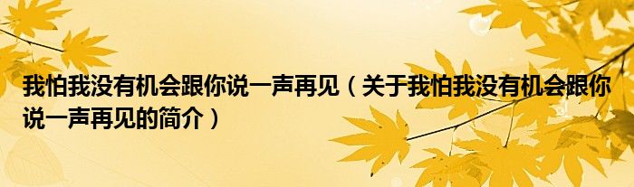 我怕我没有机会跟你说一声再见（关于我怕我没有机会跟你说一声再见的简介）