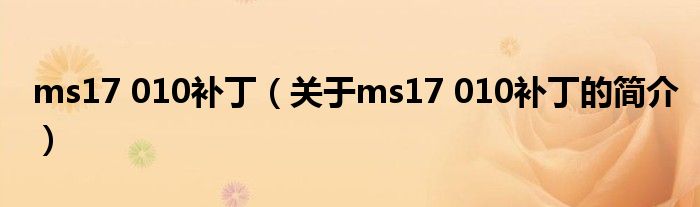 ms17 010补丁（关于ms17 010补丁的简介）