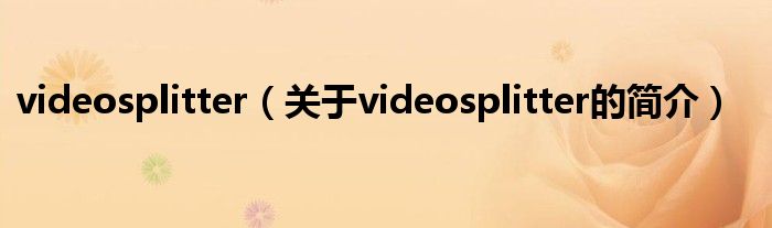 videosplitter（关于videosplitter的简介）