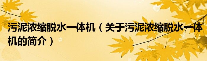 污泥浓缩脱水一体机（关于污泥浓缩脱水一体机的简介）