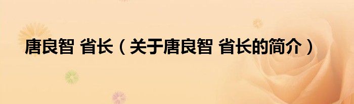 唐良智 省长（关于唐良智 省长的简介）