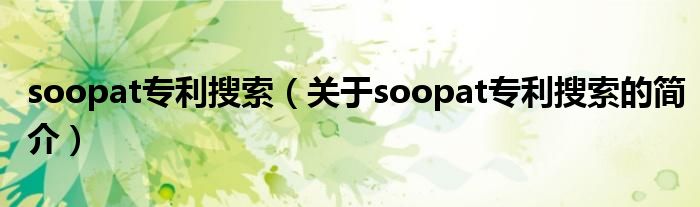 soopat专利搜索（关于soopat专利搜索的简介）