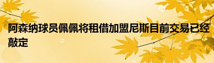 阿森纳球员佩佩将租借加盟尼斯目前交易已经敲定