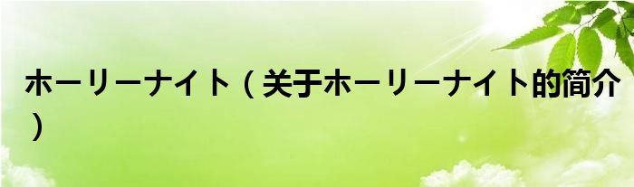 ホーリーナイト（关于ホーリーナイト的简介）