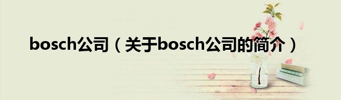 bosch公司（关于bosch公司的简介）