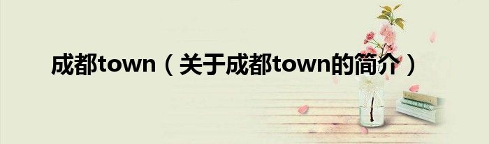 成都town（关于成都town的简介）