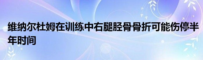 维纳尔杜姆在训练中右腿胫骨骨折可能伤停半年时间