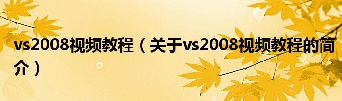 vs2008视频教程（关于vs2008视频教程的简介）