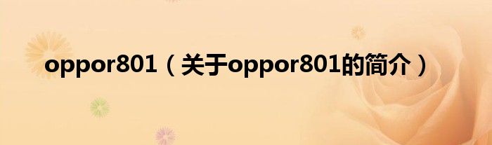 oppor801（关于oppor801的简介）