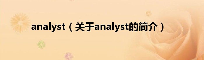 analyst（关于analyst的简介）